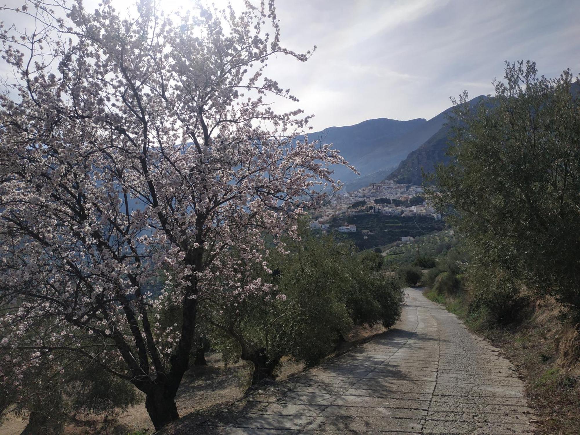 Albanchez de Úbeda Casa Rural Maestros 빌라 외부 사진